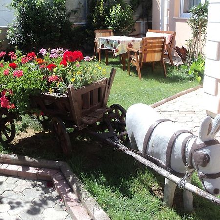 Apartments Dreamy - Free Parking Nin Extérieur photo